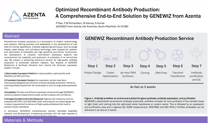Optimized Recombinant Antibody Production: A Comprehensive End-to-End Solution